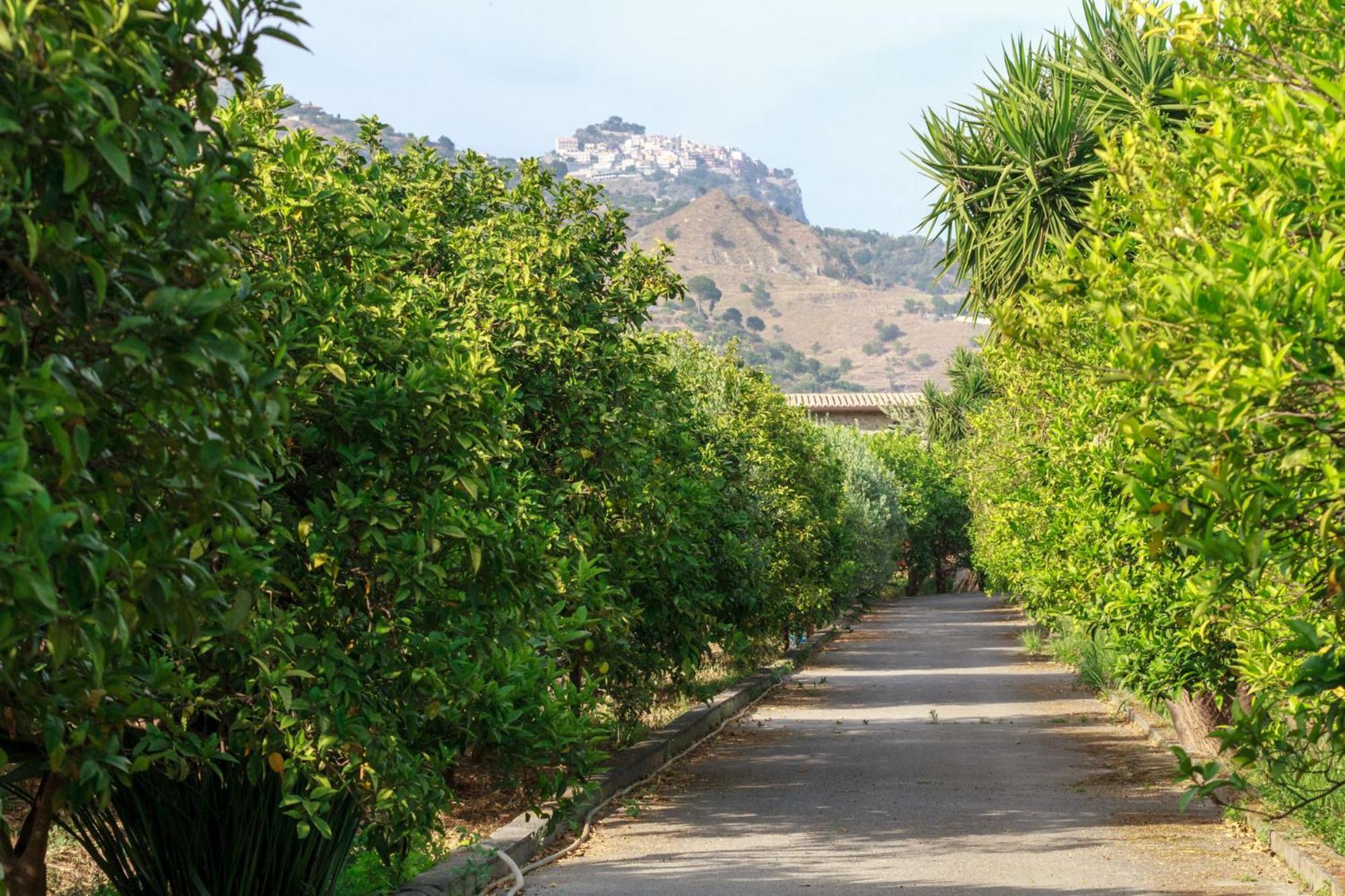 Lumia E Zagara Villa Taormina Ngoại thất bức ảnh